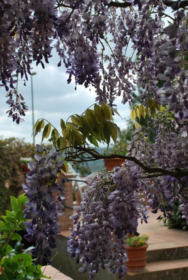 Casa Ai Pini Appartamento Panzano in Chianti Esterno foto