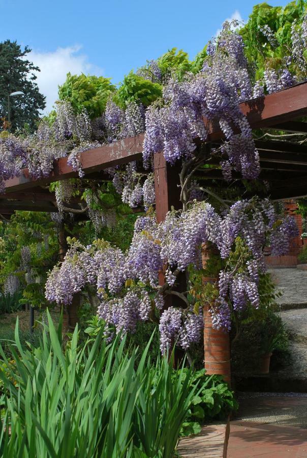 Casa Ai Pini Appartamento Panzano in Chianti Esterno foto
