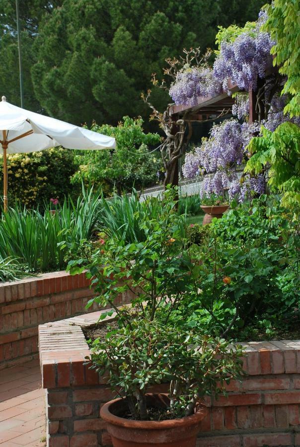 Casa Ai Pini Appartamento Panzano in Chianti Esterno foto